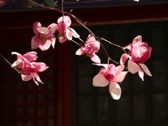 -潭柘寺景区