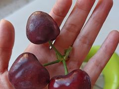 -建基泡馍·西安老字号·清真(永宁店)