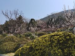-云龙山