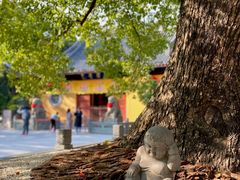 -龙华寺