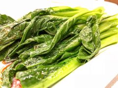 白灼广东菜心-弘雅饭店