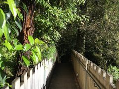 -怀托摩萤火虫洞