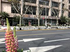 -上海机场-城市航站楼