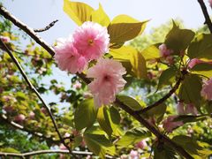 -上海滨江森林公园