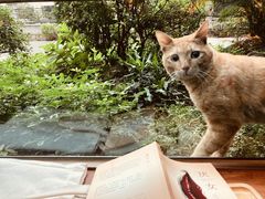 -咖法森林·咖啡  酒吧(天河店)