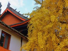 -金堂县云顶石城风景区