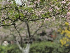 -杭州黄龙洞
