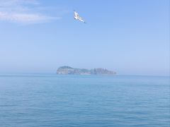 -海驴岛(荣成市)