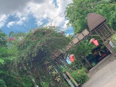 -万绿园