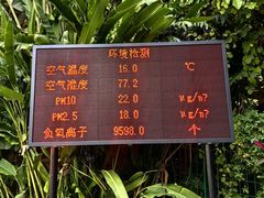 -西双版纳原始森林公园