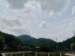 -广州市帽峰山景区