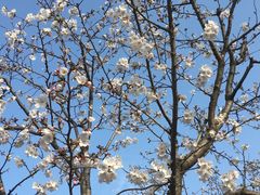 -玄武湖景区-情侣园游乐场