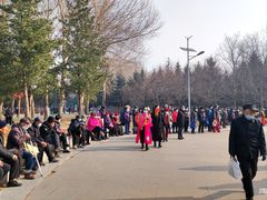 -长春公园(普阳街道)