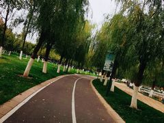 -五环公园