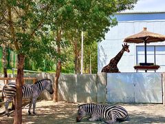 -水上乐园·欢乐世界