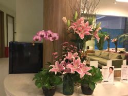 -联合丽格·张菡丽格医疗美容