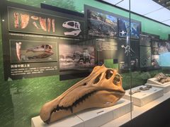 -国家自然博物馆