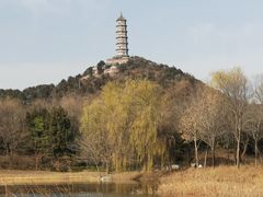 -北坞公园