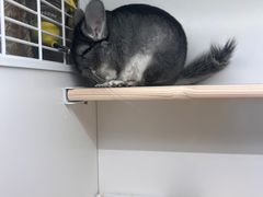 -龙猫仔乐园(惠福东路店)