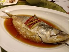 太雕酒香蒸鲥鱼-上海小南国(世博源店)