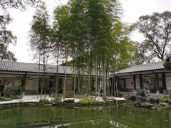 -南山植物园
