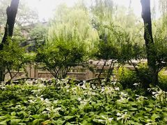 -文瀛公园
