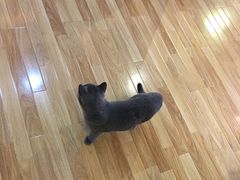 -壹人壹像工作室(购物公园店)