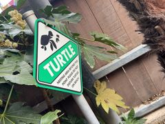 -巴黎迪士尼乐园