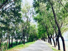 景点-野鸭湖国家湿地公园