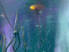 -沈阳海洋探索中心