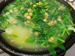豌豆尖耙豌豆汤-陶德砂锅(蜀汉路店)