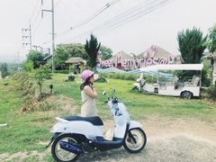 -黄色小屋