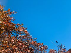 -秦岭终南山世界地质公园翠华山景区