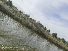 -南大港湿地风景区