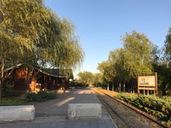 -永定河休闲森林公园