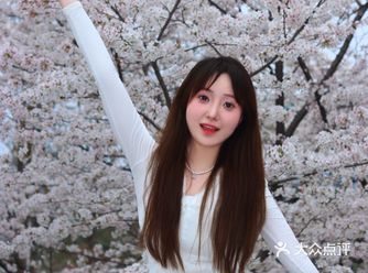 武汉的春天是樱花的季节