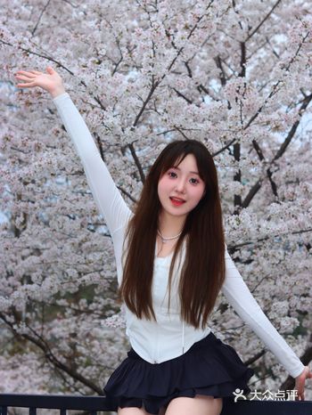 武汉的春天是樱花的季节