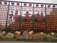 -合肥滨湖国家森林公园