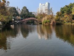 -桂湖森林公园