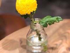 -gaga(深圳南山益田假日广场店)