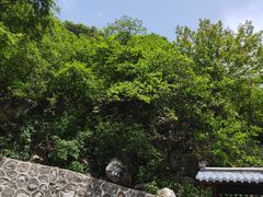 -陕西省红河谷森林公园-游客中心