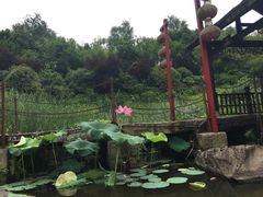 -两江国际影视城