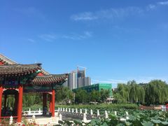 -西海子公园