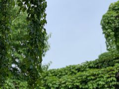 -衣裳街历史文化街区