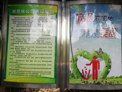 -银湖山郊野公园-相思林