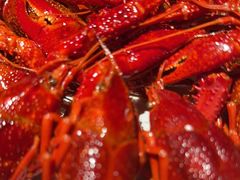 -巴厘龙虾·榜首油焖大虾(洞庭·艺术洋房店)