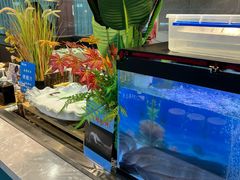 -伍棵煋炭烤自助料理·烤鳗鱼(浦东食品城店)