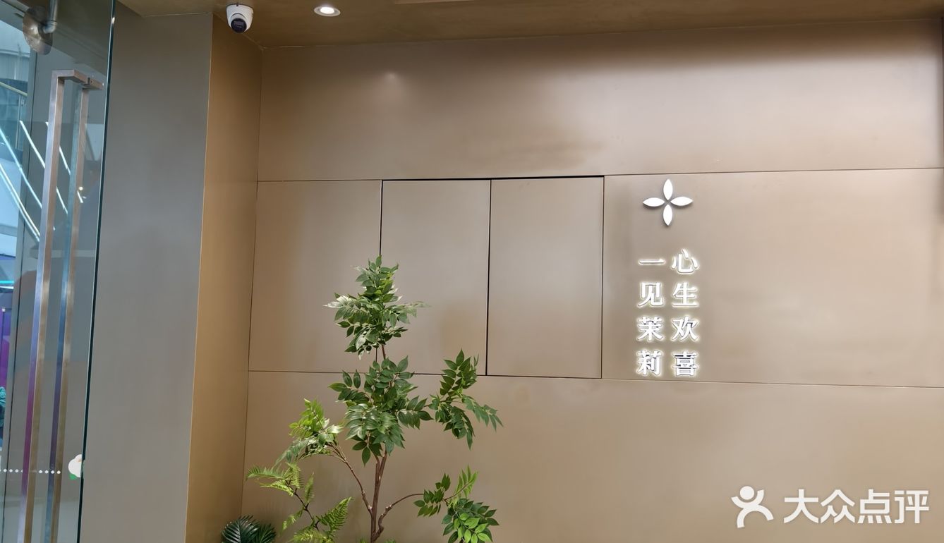 茉莉奶白终于开到九江啦~