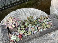 -海窝子古镇