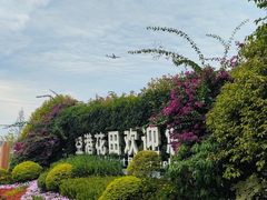 -空港花田景区